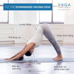 tư thế yoga chữ v ngược